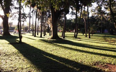 O que fazer no Parque da Cidade Sarah Kubitschek