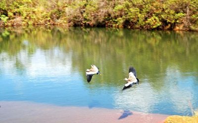 Conheça o Parque Nacional de Brasília