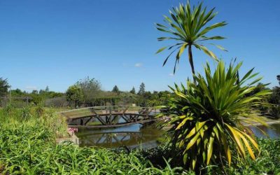 Jardim Botânico de Brasília